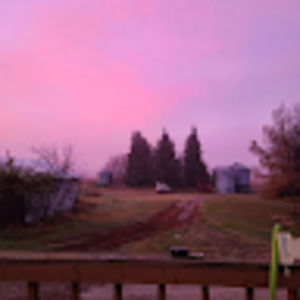 Meet your Posher, Mia